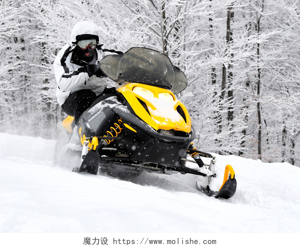 在冬季森林里开雪地摩托车的人在雪地上的人